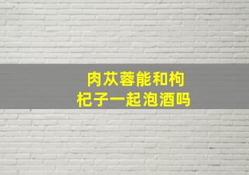 肉苁蓉能和枸杞子一起泡酒吗