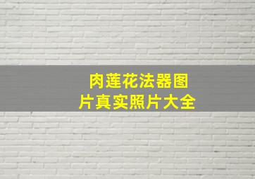 肉莲花法器图片真实照片大全