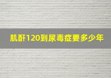 肌酐120到尿毒症要多少年