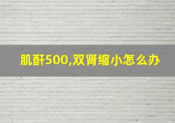 肌酐500,双肾缩小怎么办