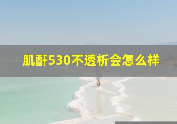 肌酐530不透析会怎么样