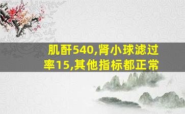 肌酐540,肾小球滤过率15,其他指标都正常