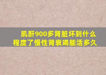 肌酐900多肾脏坏到什么程度了慢性肾衰竭能活多久