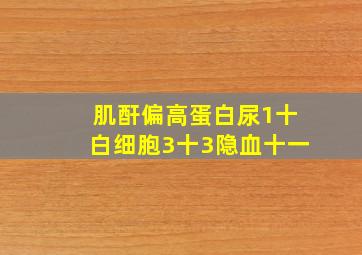 肌酐偏高蛋白尿1十白细胞3十3隐血十一