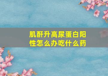 肌酐升高尿蛋白阳性怎么办吃什么药