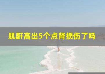 肌酐高出5个点肾损伤了吗