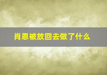 肖恩被放回去做了什么