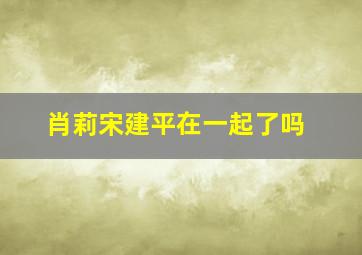 肖莉宋建平在一起了吗