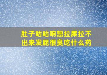 肚子咕咕响想拉屎拉不出来发屁很臭吃什么药