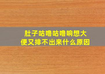 肚子咕噜咕噜响想大便又排不出来什么原因