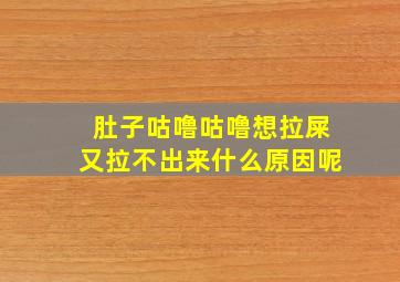 肚子咕噜咕噜想拉屎又拉不出来什么原因呢