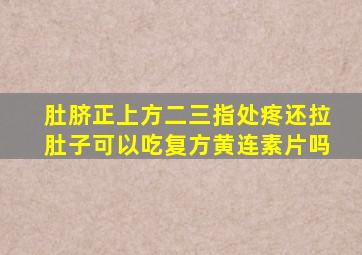 肚脐正上方二三指处疼还拉肚子可以吃复方黄连素片吗