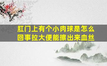 肛门上有个小肉球是怎么回事拉大便能擦出来血丝