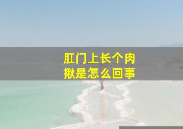 肛门上长个肉揪是怎么回事