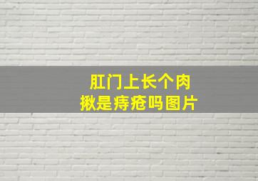 肛门上长个肉揪是痔疮吗图片