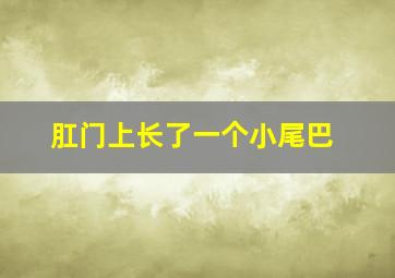 肛门上长了一个小尾巴