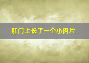 肛门上长了一个小肉片