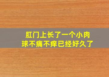 肛门上长了一个小肉球不痛不痒已经好久了