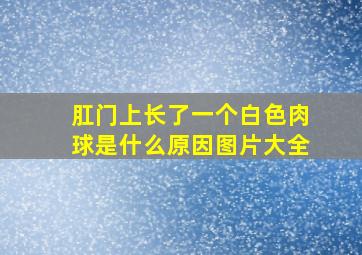 肛门上长了一个白色肉球是什么原因图片大全