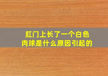 肛门上长了一个白色肉球是什么原因引起的