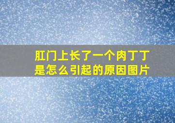 肛门上长了一个肉丁丁是怎么引起的原因图片