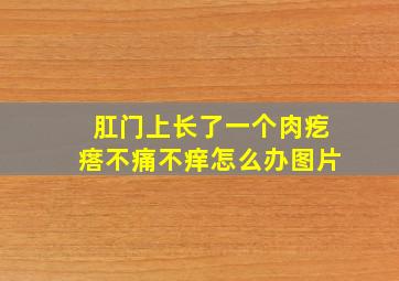 肛门上长了一个肉疙瘩不痛不痒怎么办图片