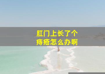 肛门上长了个痔疮怎么办啊