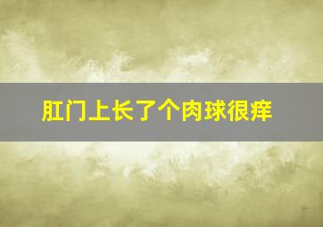 肛门上长了个肉球很痒