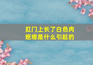 肛门上长了白色肉疙瘩是什么引起的