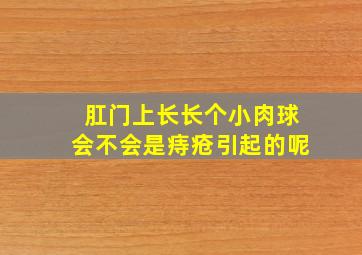 肛门上长长个小肉球会不会是痔疮引起的呢