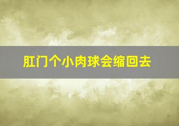 肛门个小肉球会缩回去