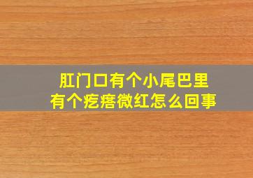 肛门口有个小尾巴里有个疙瘩微红怎么回事