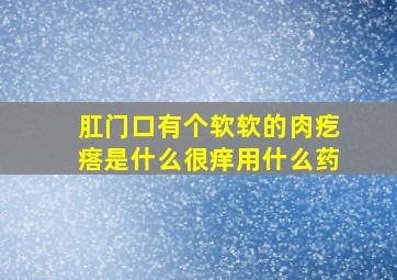 肛门口有个软软的肉疙瘩是什么很痒用什么药