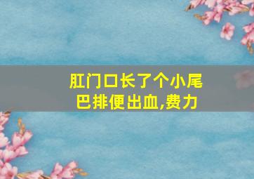 肛门口长了个小尾巴排便出血,费力