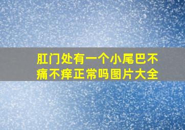 肛门处有一个小尾巴不痛不痒正常吗图片大全