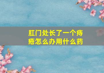 肛门处长了一个痔疮怎么办用什么药