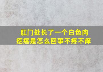 肛门处长了一个白色肉疙瘩是怎么回事不疼不痒