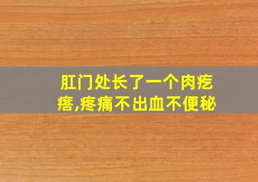 肛门处长了一个肉疙瘩,疼痛不出血不便秘