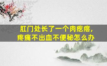 肛门处长了一个肉疙瘩,疼痛不出血不便秘怎么办