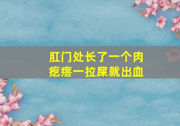 肛门处长了一个肉疙瘩一拉屎就出血