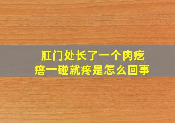 肛门处长了一个肉疙瘩一碰就疼是怎么回事