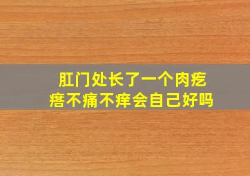 肛门处长了一个肉疙瘩不痛不痒会自己好吗