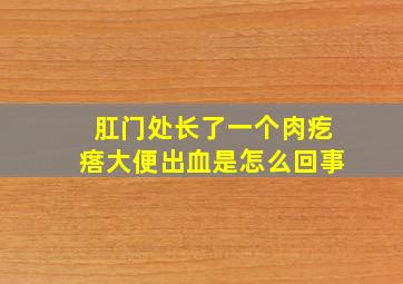 肛门处长了一个肉疙瘩大便出血是怎么回事