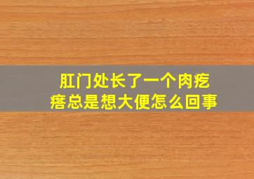 肛门处长了一个肉疙瘩总是想大便怎么回事