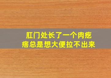 肛门处长了一个肉疙瘩总是想大便拉不出来