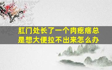 肛门处长了一个肉疙瘩总是想大便拉不出来怎么办