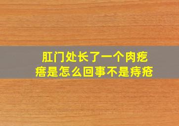 肛门处长了一个肉疙瘩是怎么回事不是痔疮