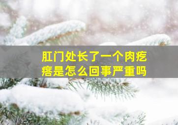 肛门处长了一个肉疙瘩是怎么回事严重吗