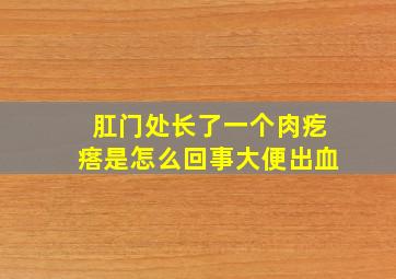 肛门处长了一个肉疙瘩是怎么回事大便出血