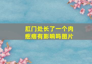 肛门处长了一个肉疙瘩有影响吗图片